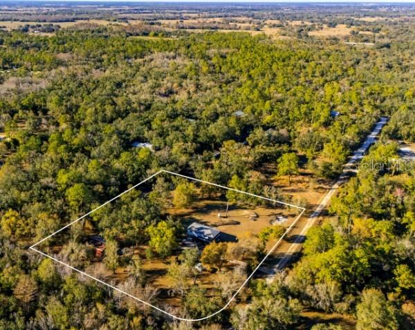 An aerial view shows a house on a wooded lot outlined in white — 2207 SW BLOSSOM AVENUE, ARCADIA, FL