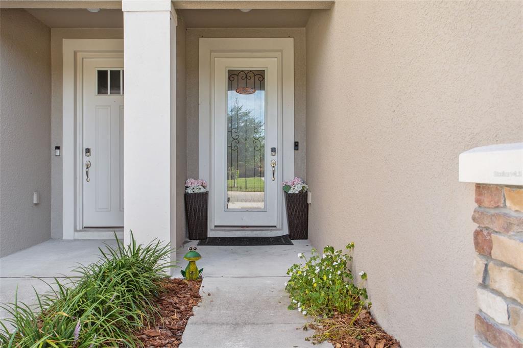 A front entryway features a white door with a glass insert and two potted plants — 5950 GRAND SONATA AVENUE, LUTZ, FL