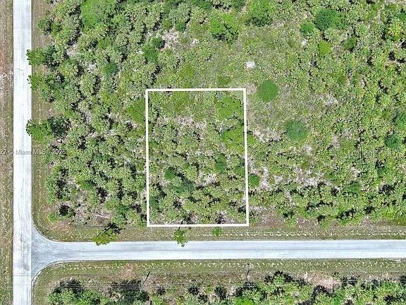 An aerial view shows a rectangular plot of land outlined in white near a road — 134 NAVARRA AVENUE S, LEHIGH ACRES, FL