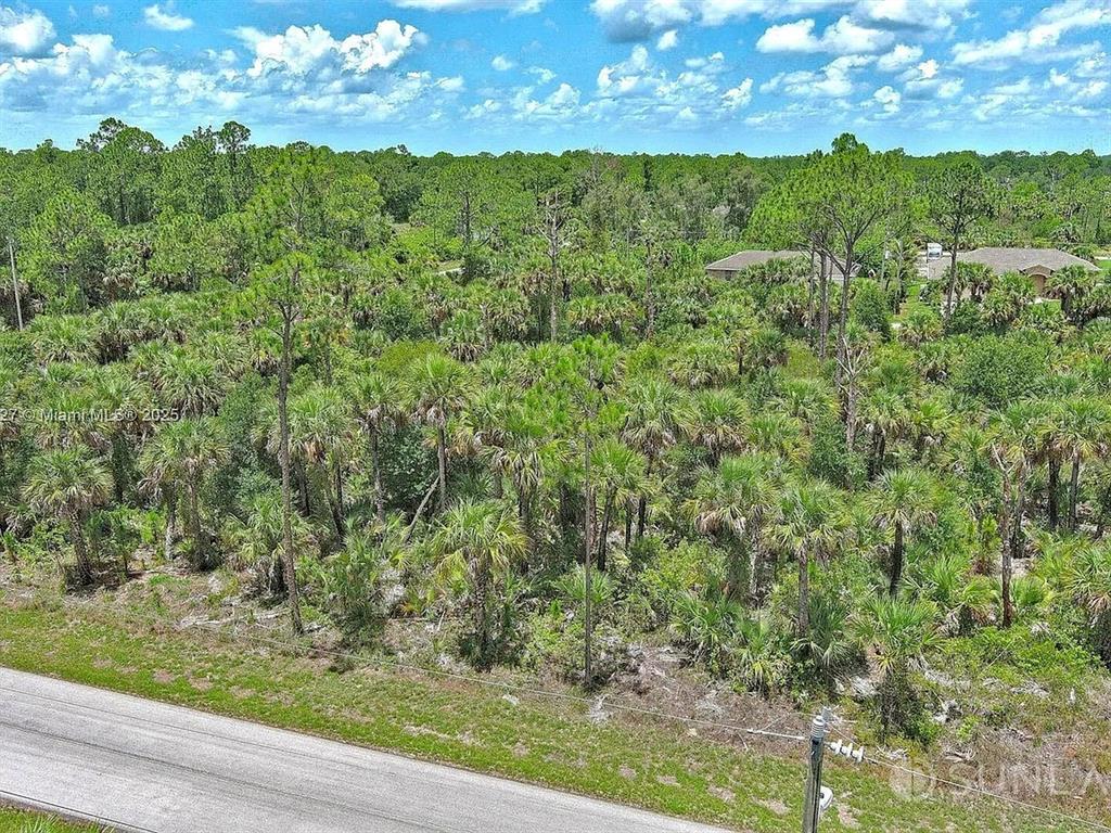 An aerial view shows a paved road bordering a dense, wooded lot with palm trees — 134 NAVARRA AVENUE S, LEHIGH ACRES, FL
