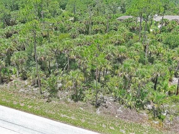 An aerial view shows a vacant, wooded lot covered in palm trees and pine trees — 134 NAVARRA AVENUE S, LEHIGH ACRES, FL
