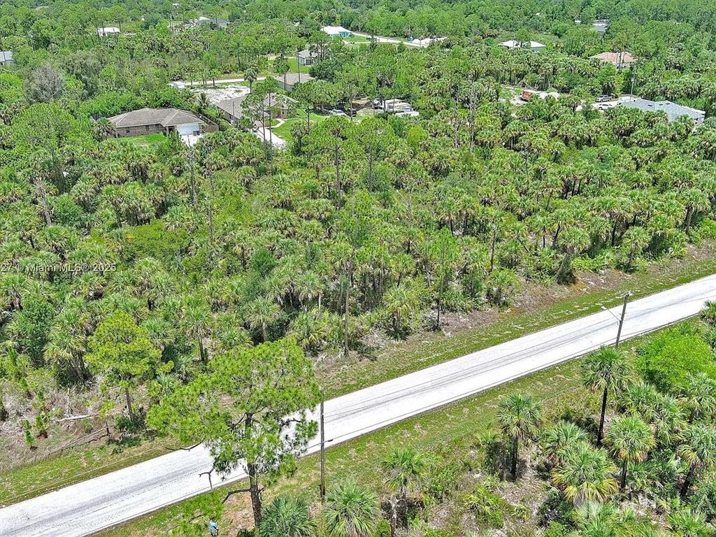 An aerial view shows a paved road bordering a densely wooded lot with scattered houses — 134 NAVARRA AVENUE S, LEHIGH ACRES, FL
