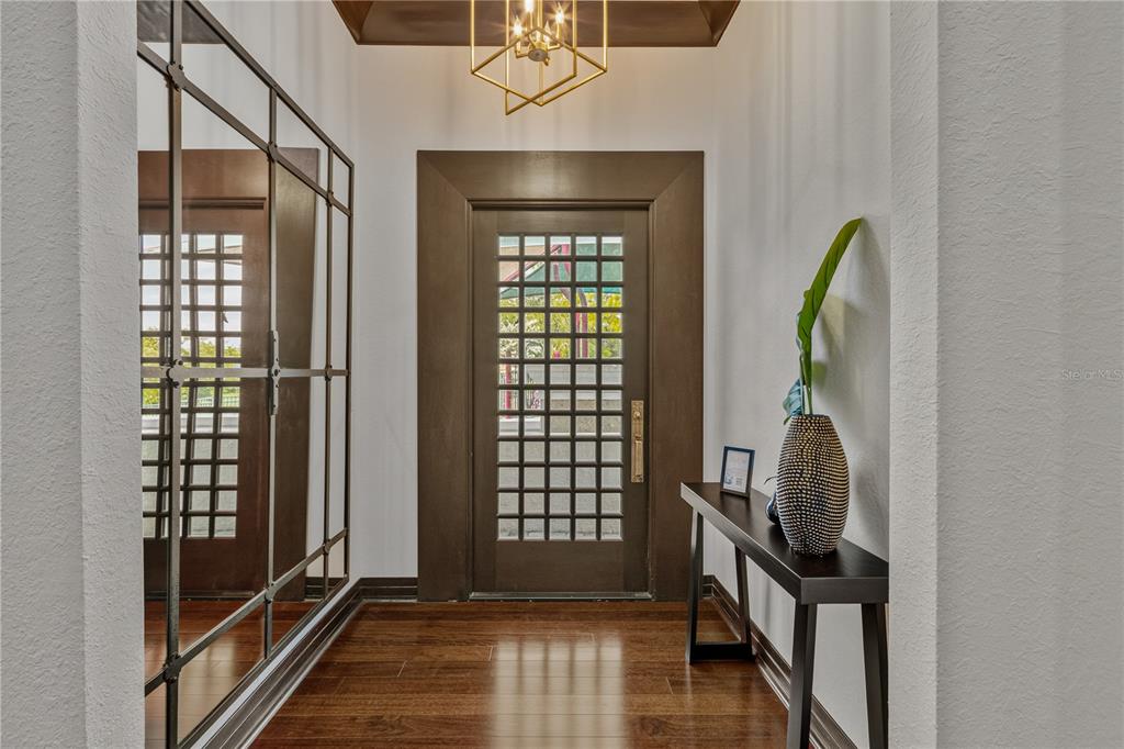 A foyer features a dark wood door, a mirrored wall, and a geometric pendant light — 1008 PASEO DEL RIO NE, ST PETERSBURG, FL