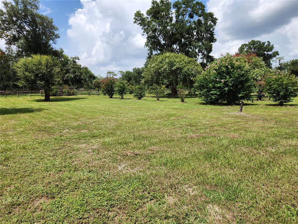 A grassy field with scattered trees and shrubs under a cloudy blue sky — 3903 POWERLINE ROAD, LITHIA, FL