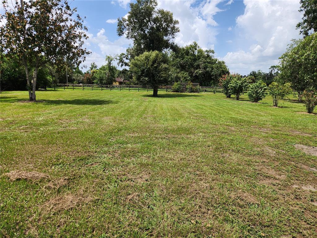 A large, grassy backyard features several mature trees and a wooden fence in the distance — 3903 POWERLINE ROAD, LITHIA, FL