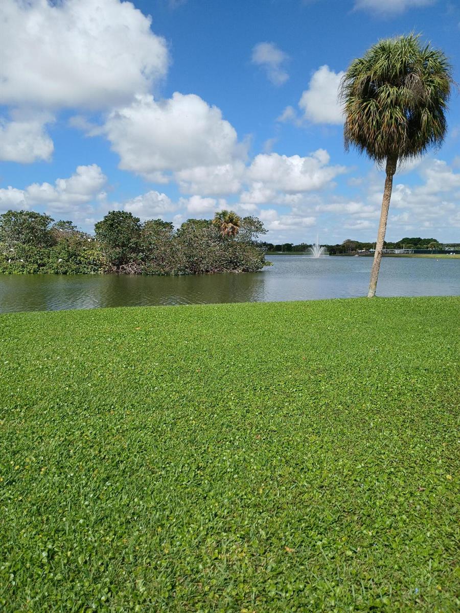 A grassy lawn overlooks a lake with a fountain and a small island of trees — 92 Seville Drive, Delray Beach FL 33446, DELRAY BEACH, FL