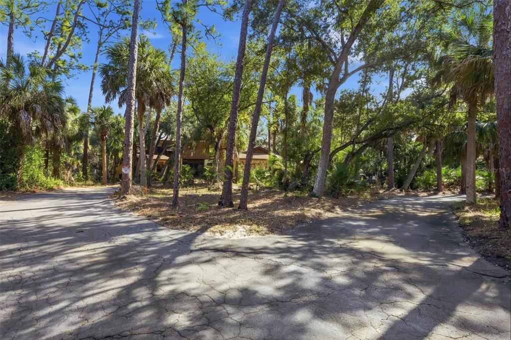A paved driveway splits in two directions in front of a house surrounded by trees — 1066 CONOVER STREET, PORT CHARLOTTE, FL