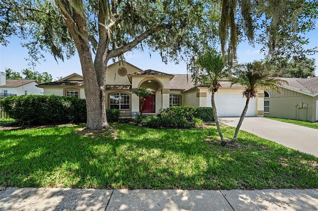 A single-story house with a red front door, a two-car garage, and a large tree — 2909 STARMOUNT DRIVE, VALRICO, FL