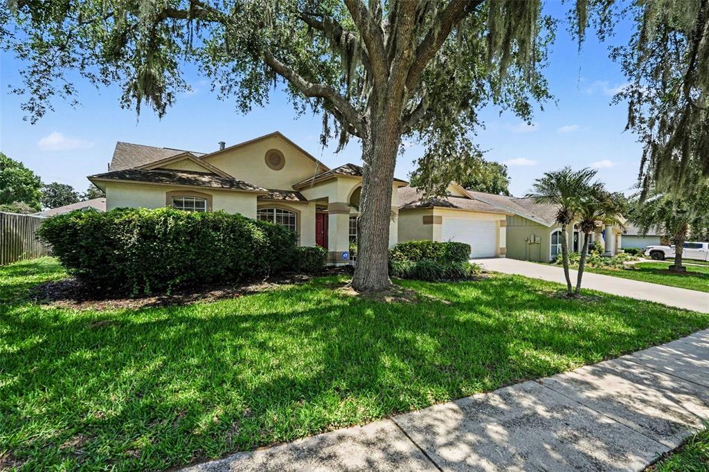 A single-story house with a large oak tree and a manicured lawn in front — 2909 STARMOUNT DRIVE, VALRICO, FL
