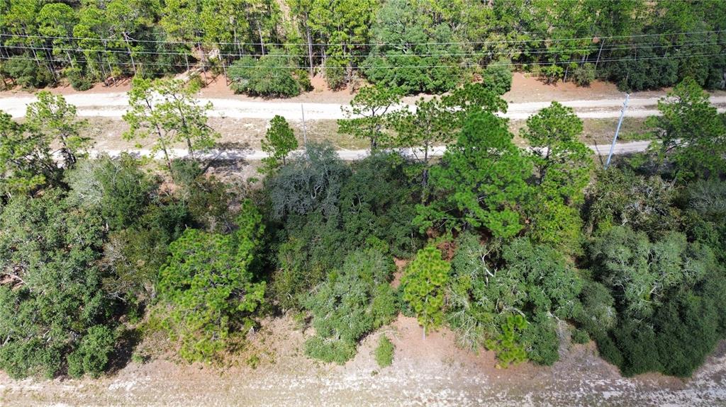 An aerial view shows a wooded lot with scattered pine and oak trees — 3341 W WILHELM STREET, CITRUS SPRINGS, FL