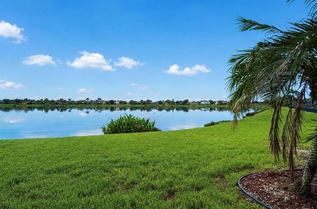 5335 SANDY SHELL DRIVE, APOLLO BEACH, FL — photo 2 of 30