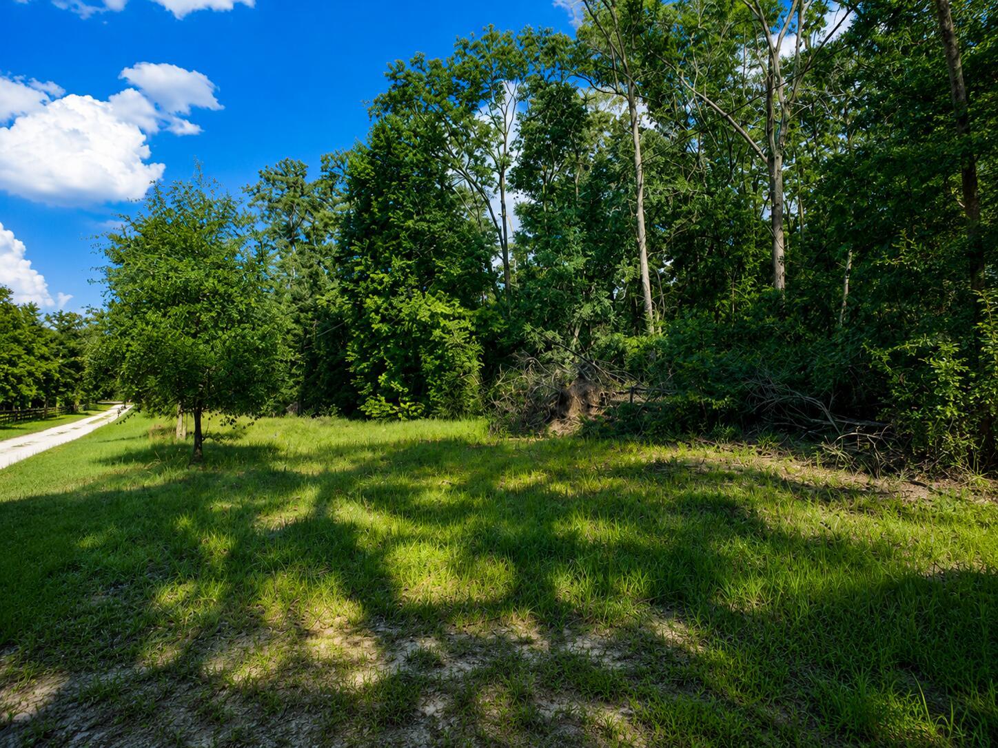 A grassy field sits in front of a dense forest under a bright blue sky — 6600 150th Place, FL 32094, FL