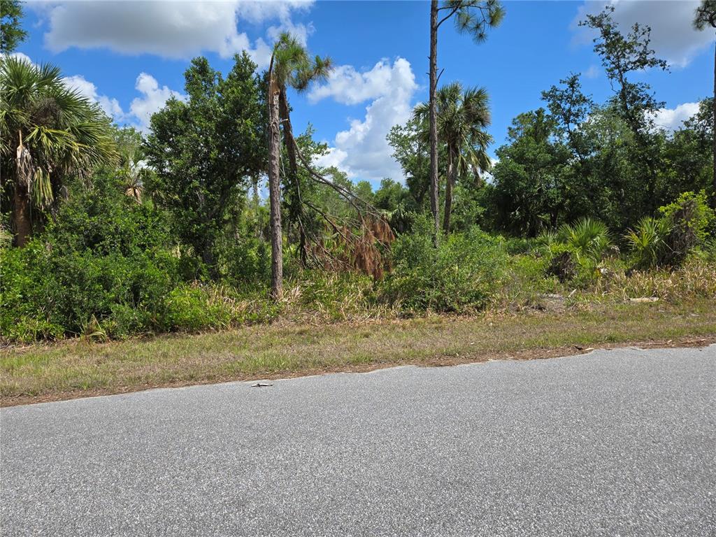 A paved road runs in front of a wooded, undeveloped lot with various trees — 14432 MCMILLIN AVENUE, PORT CHARLOTTE, FL