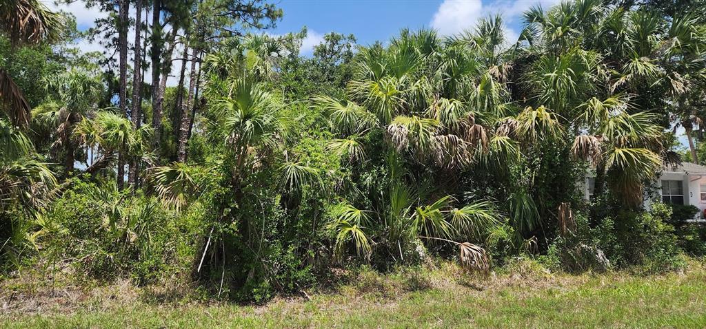 A dense thicket of palm trees and native vegetation sits in front of a house — 436 HUTCHINS STREET, PORT CHARLOTTE, FL