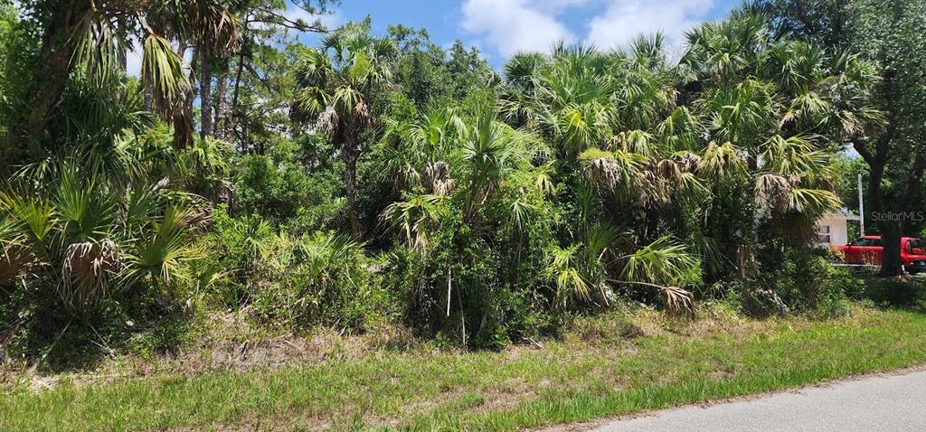 A vacant, wooded lot with dense palm trees and vegetation sits beside a paved road — 436 HUTCHINS STREET, PORT CHARLOTTE, FL
