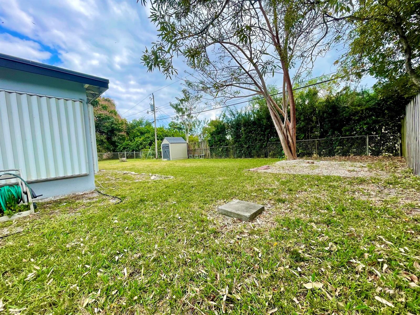 A grassy backyard features a large tree, a small storage shed, and a house exterior — 5630 Hollywood Boulevard, Hollywood FL 33021, HOLLYWOOD, FL