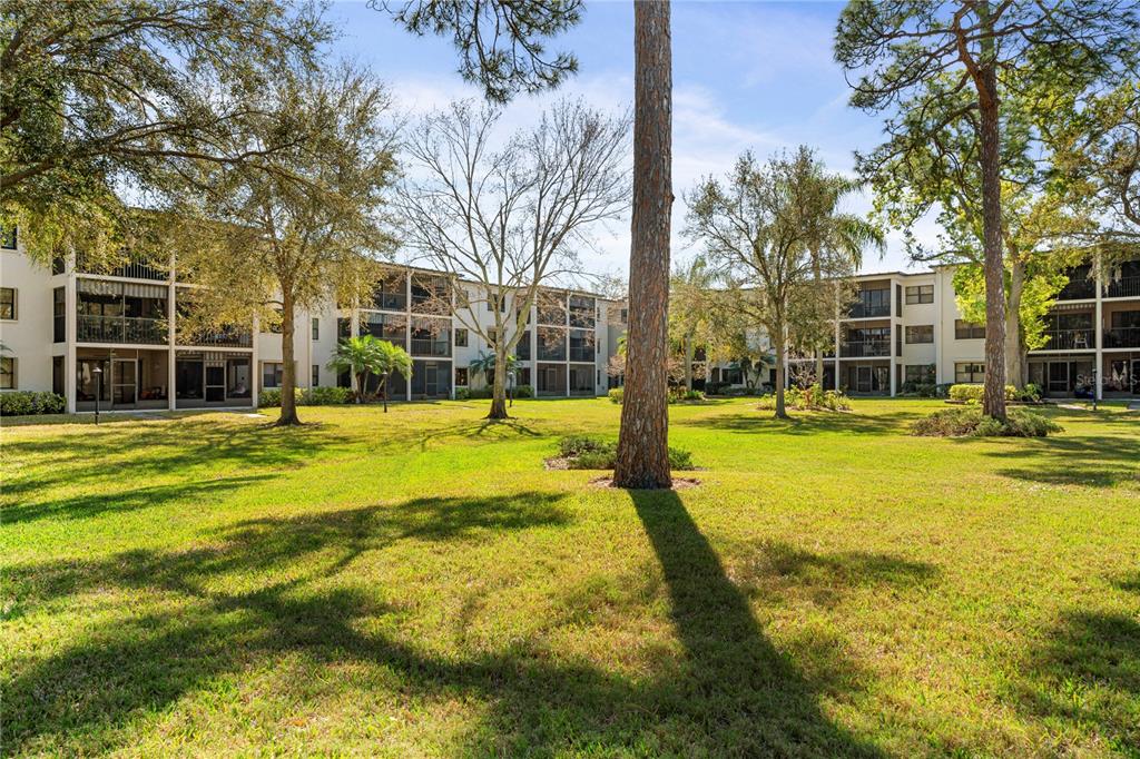 A grassy courtyard sits between multi-story apartment buildings surrounded by mature trees — 4910 BAY STREET NE UNIT 311, ST PETERSBURG, FL