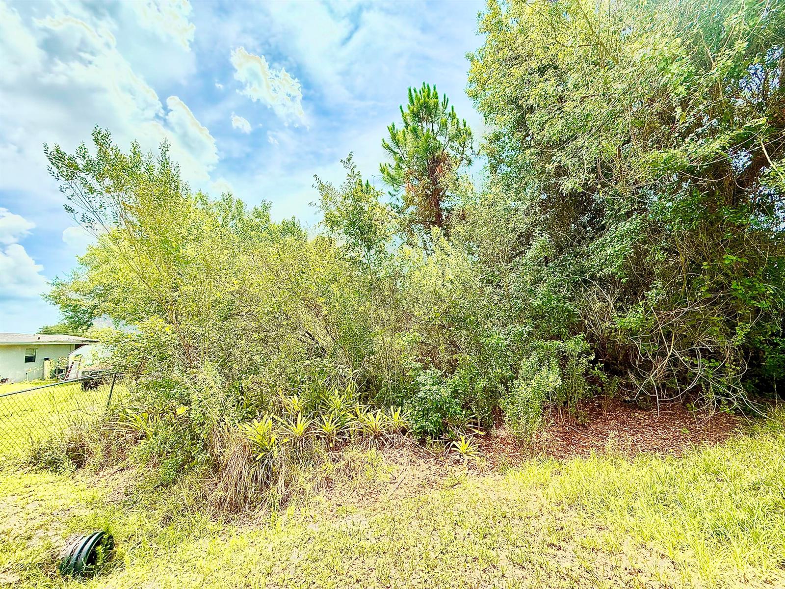 A view of a dense, overgrown wooded area next to a residential chain-link fence — 0 NE 2nd Terrace, Okeechobee FL 34972, OKEECHOBEE, FL