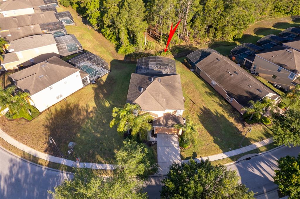 906 ORANGE COSMOS BOULEVARD, DAVENPORT, FL — photo 3 of 30