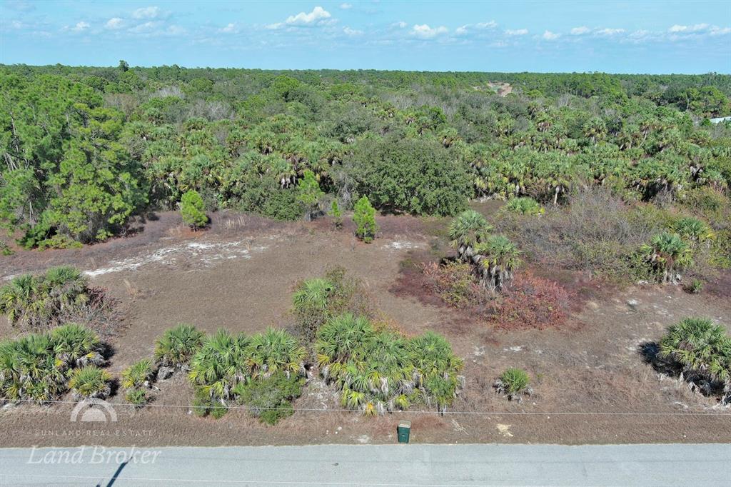 An aerial view shows a vacant, wooded lot bordering a paved road — EASTMAN CIRCLE, NORTH PORT, FL