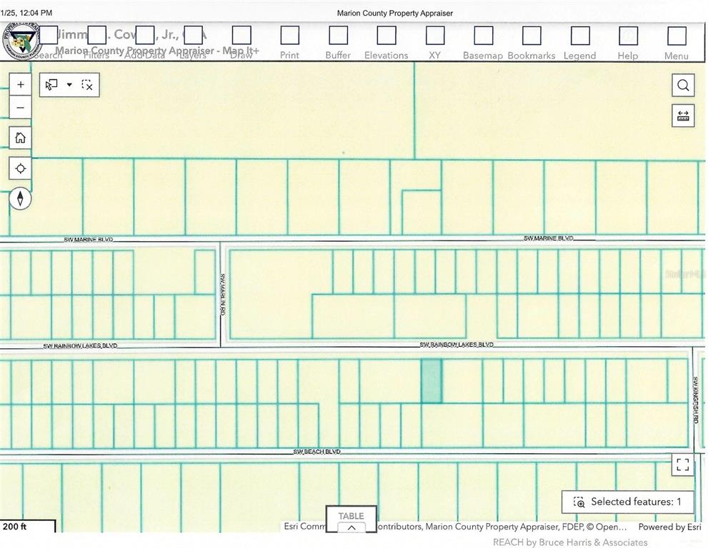 This is a digital map of a residential neighborhood showing property lot lines and streets — Lot 13 SW RAINBOW LAKES BOULEVARD, DUNNELLON, FL