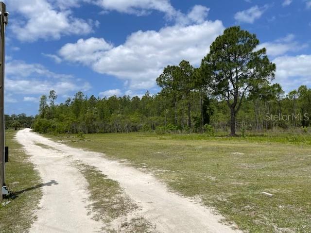A dirt road leads toward a wooded area under a blue sky with scattered clouds — 8107 W MAYFAIR DRIVE, HOMOSASSA, FL