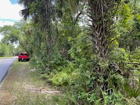 A red truck is parked on the shoulder of a road next to a wooded lot — 8107 W MAYFAIR DRIVE, HOMOSASSA, FL