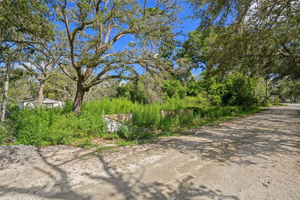 A dirt road runs alongside a wooded, overgrown lot with a small structure in the background — 3241 TAFFETA STREET, DADE CITY, FL