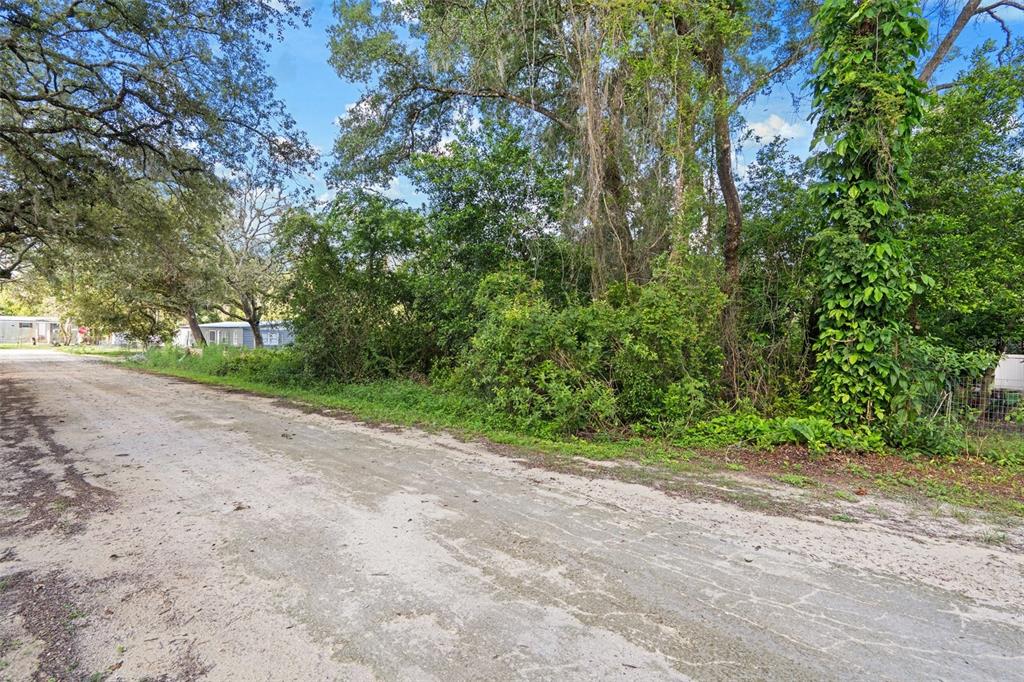 A dirt road runs alongside a wooded lot with dense trees and overgrown vegetation — 3241 TAFFETA STREET, DADE CITY, FL