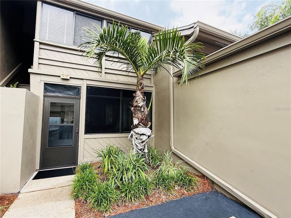 A palm tree grows in a small garden bed in front of a tan townhouse entrance — 1111 N BAYSHORE BOULEVARD UNIT E3, CLEARWATER, FL