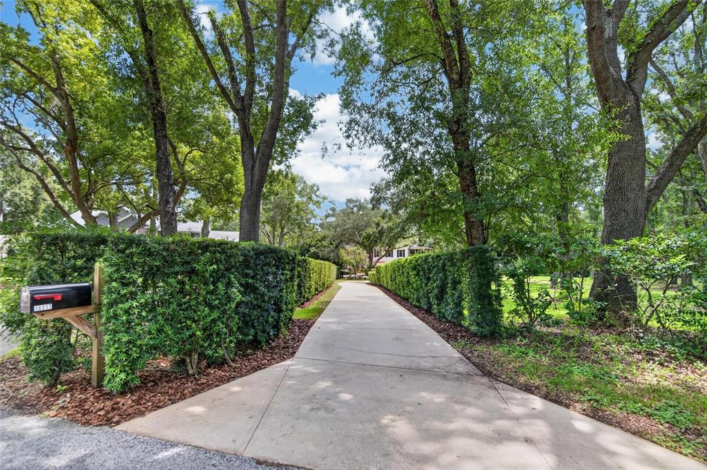 A concrete driveway leads toward a house, framed by tall hedges and mature trees — 16317 EMERALD COVE, LUTZ, FL
