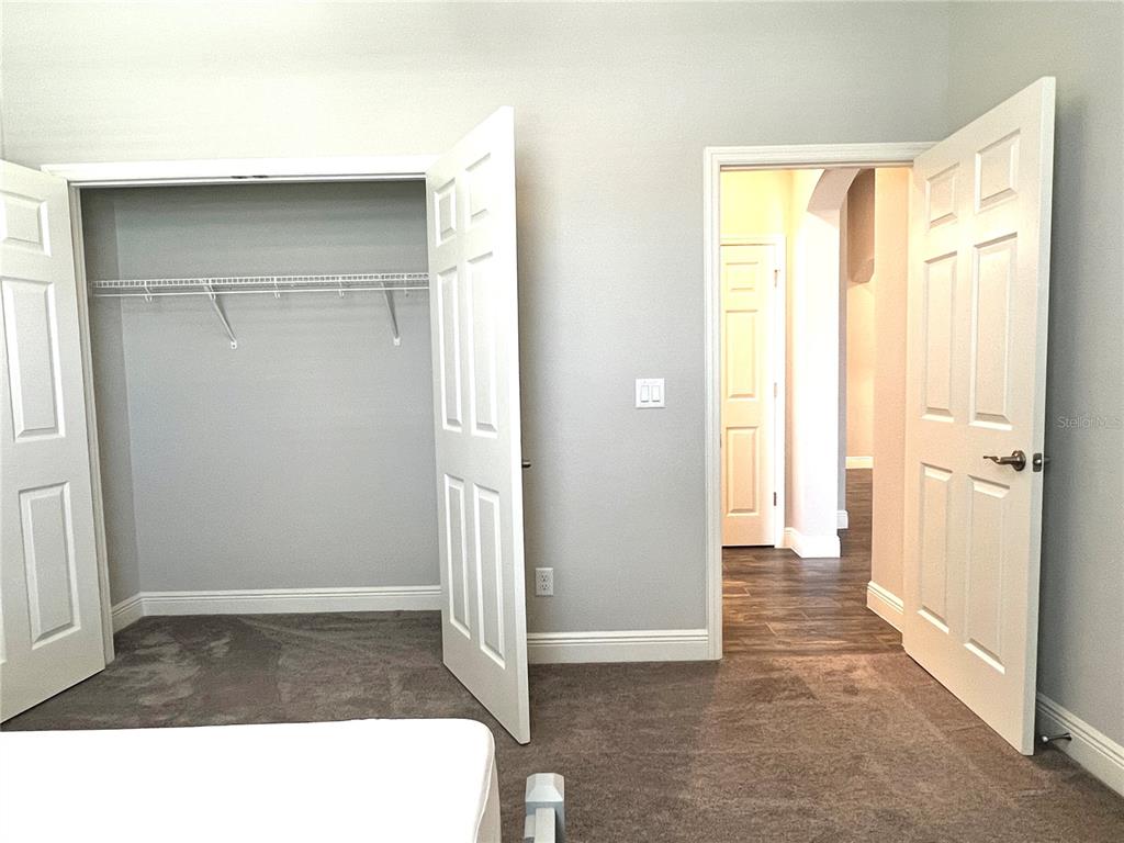 A bedroom features gray carpet, a double-door closet, and an open doorway leading to a hallway — 4786 BALLANTRAE BOULEVARD, LAND O LAKES, FL