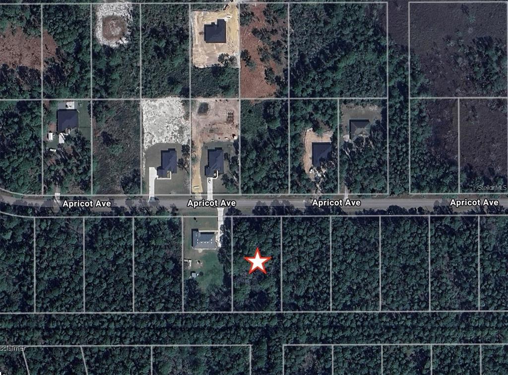 APRICOT AVENUE, EUSTIS, FL — photo 2 of 13