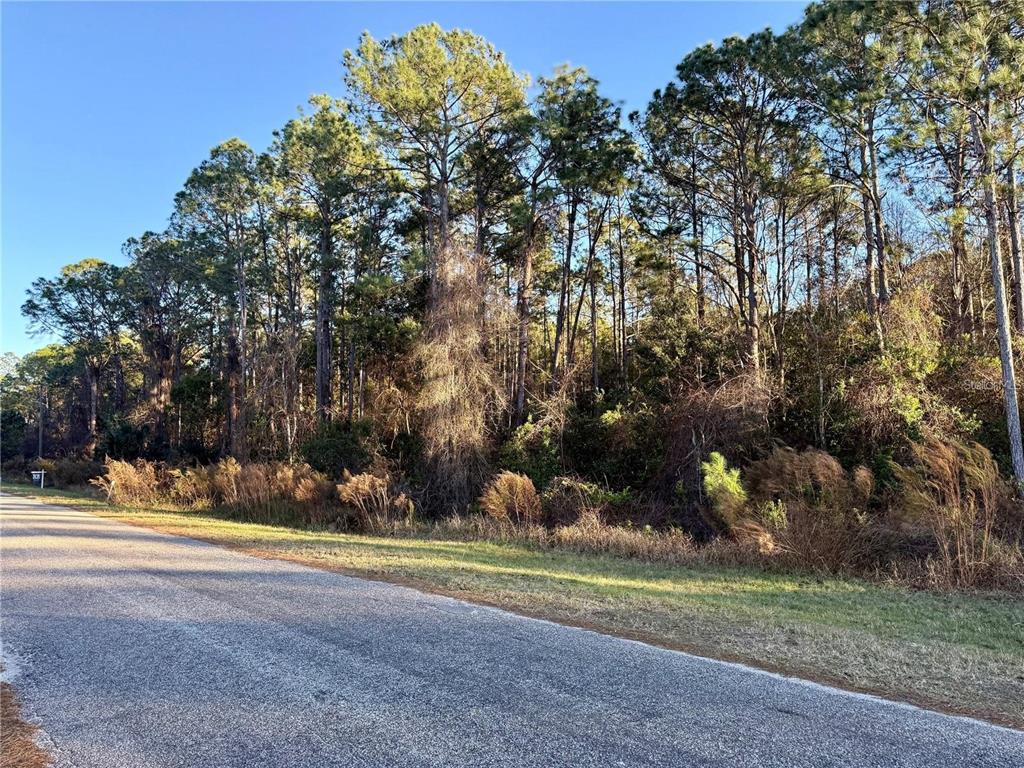 APRICOT AVENUE, EUSTIS, FL — photo 4 of 13