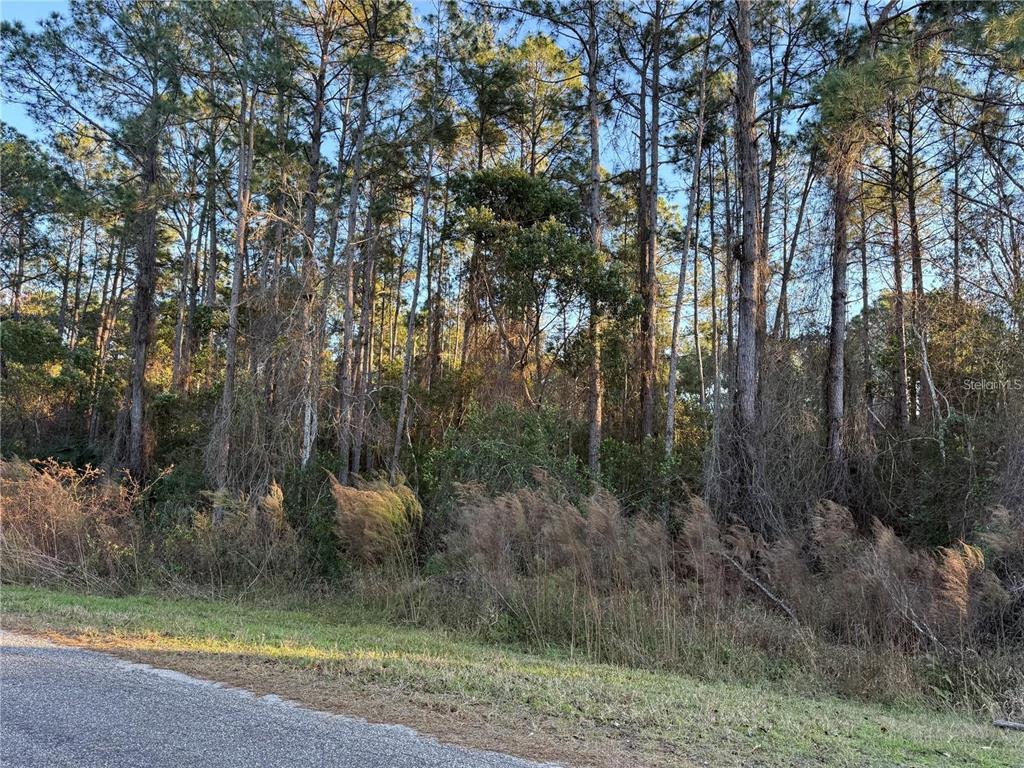 APRICOT AVENUE, EUSTIS, FL — photo 5 of 13