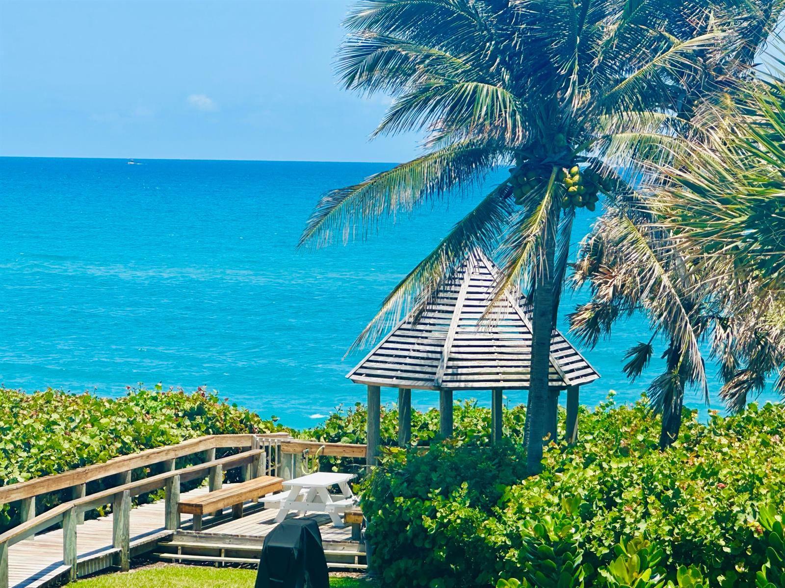 A wooden gazebo and a boardwalk overlook the ocean next to a large palm tree — 420 Celestial Way # 301, Juno Beach FL 33408, JUNO BEACH, FL