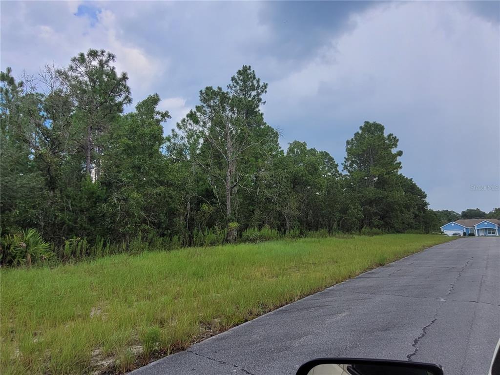 A paved road runs alongside a grassy, wooded vacant lot under a cloudy sky — SW 135 STREET, OCALA, FL