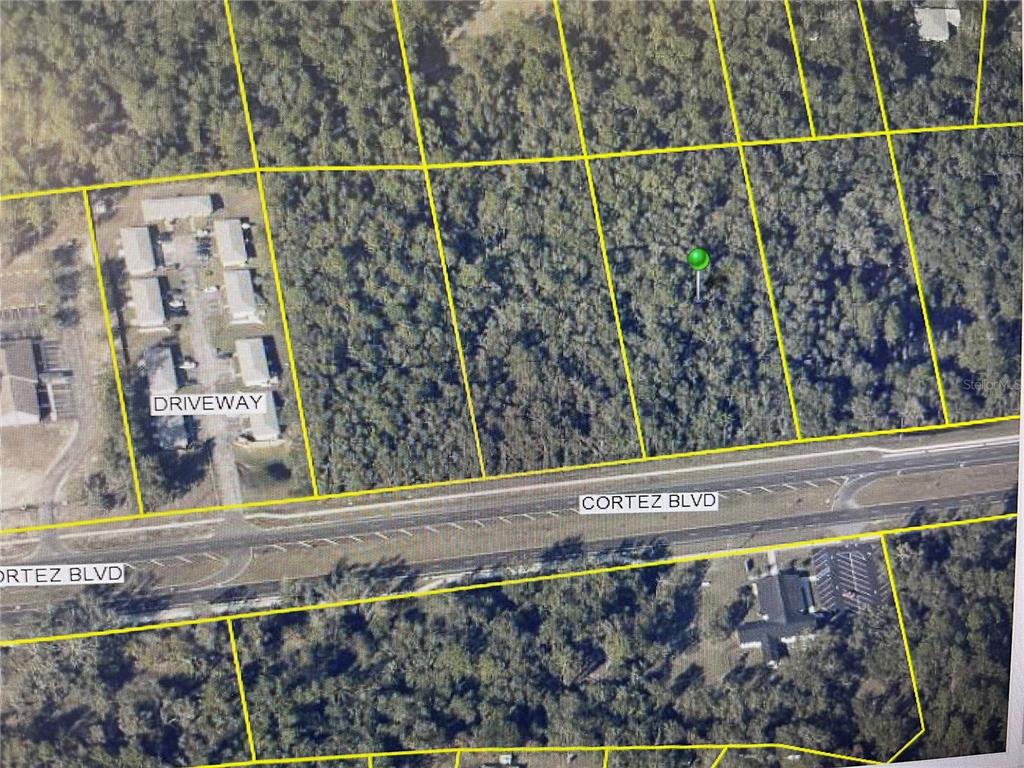 34365 CORTEZ BOULEVARD, DADE CITY, FL — photo 2 of 5