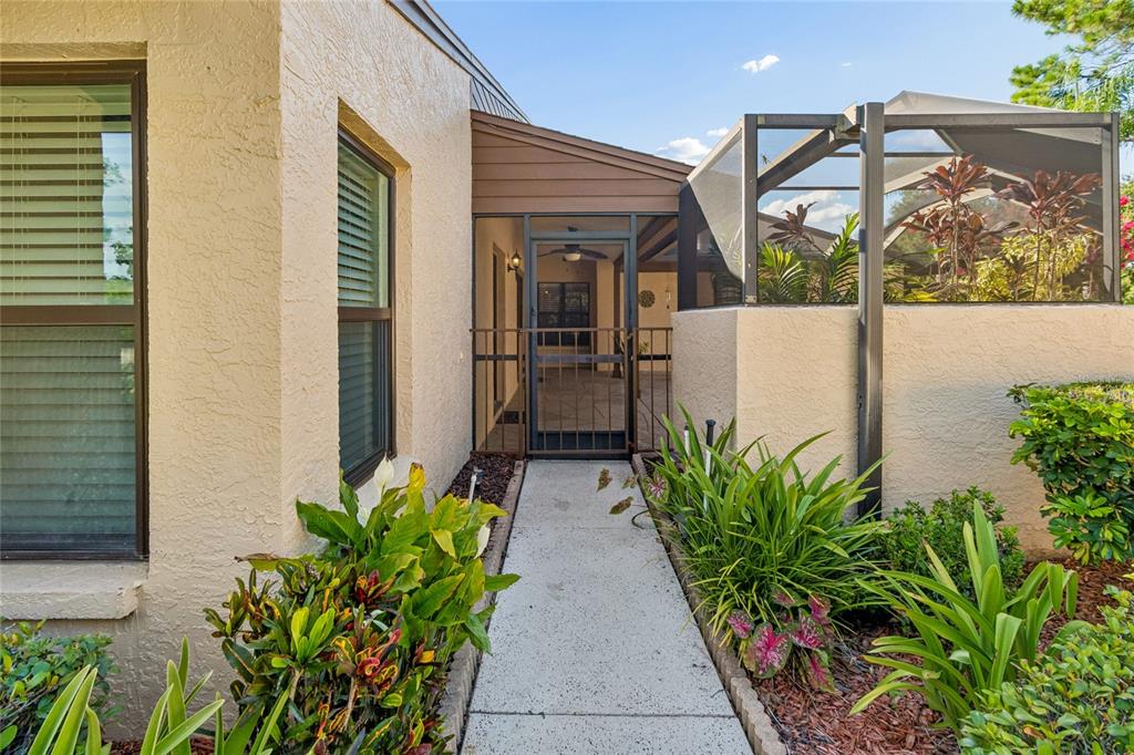 A concrete walkway leads to a screened-in entryway with a metal gate and landscaping — 5030 UMBER WAY N, TAMPA, FL