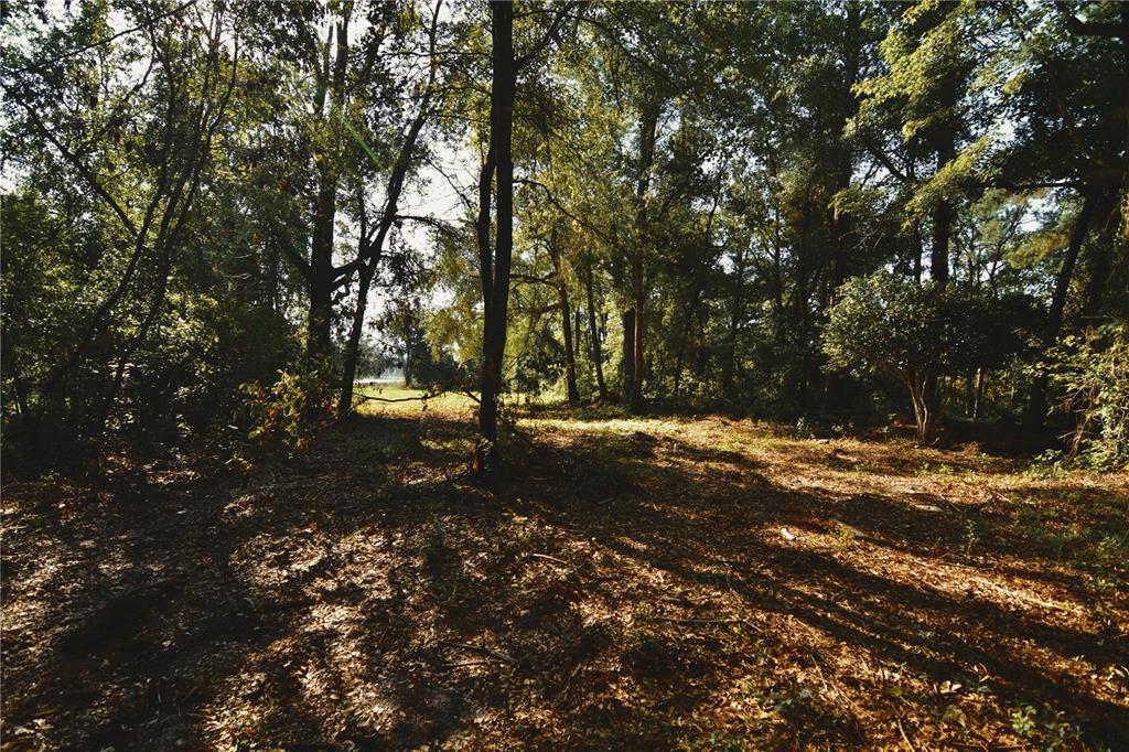 00 HALL LAKE ROAD, KEYSTONE HEIGHTS, FL — photo 4 of 30