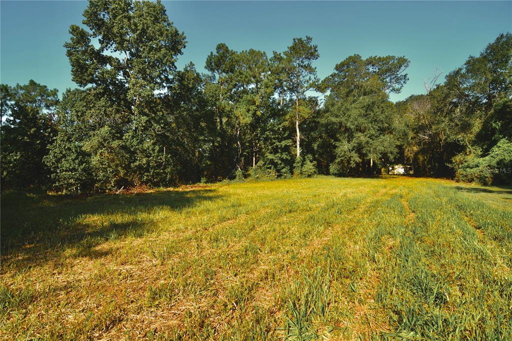 00 HALL LAKE ROAD, KEYSTONE HEIGHTS, FL — photo 5 of 30