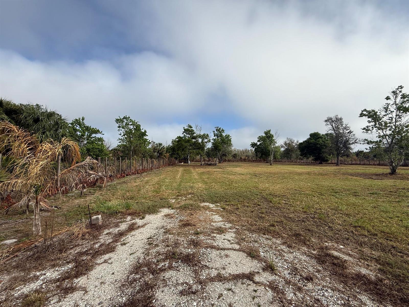 A gravel driveway leads into a large, grassy field bordered by trees and a fence — 17231 NW 268th Street, Okeechobee FL 34972, OKEECHOBEE, FL