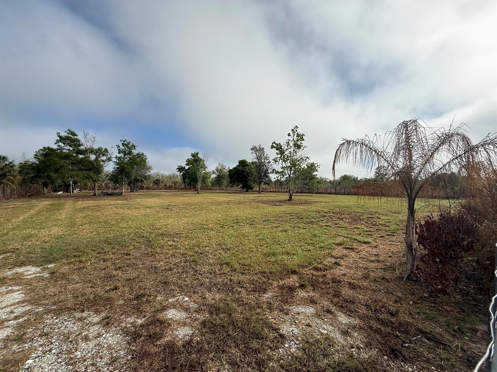 A large, grassy, open field features several scattered trees under a cloudy sky — 17231 NW 268th Street, Okeechobee FL 34972, OKEECHOBEE, FL