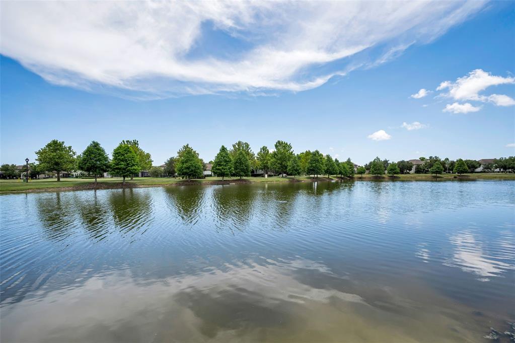 A calm lake reflects a row of green trees under a bright blue sky — 13125 BATTEN LANE, ODESSA, FL
