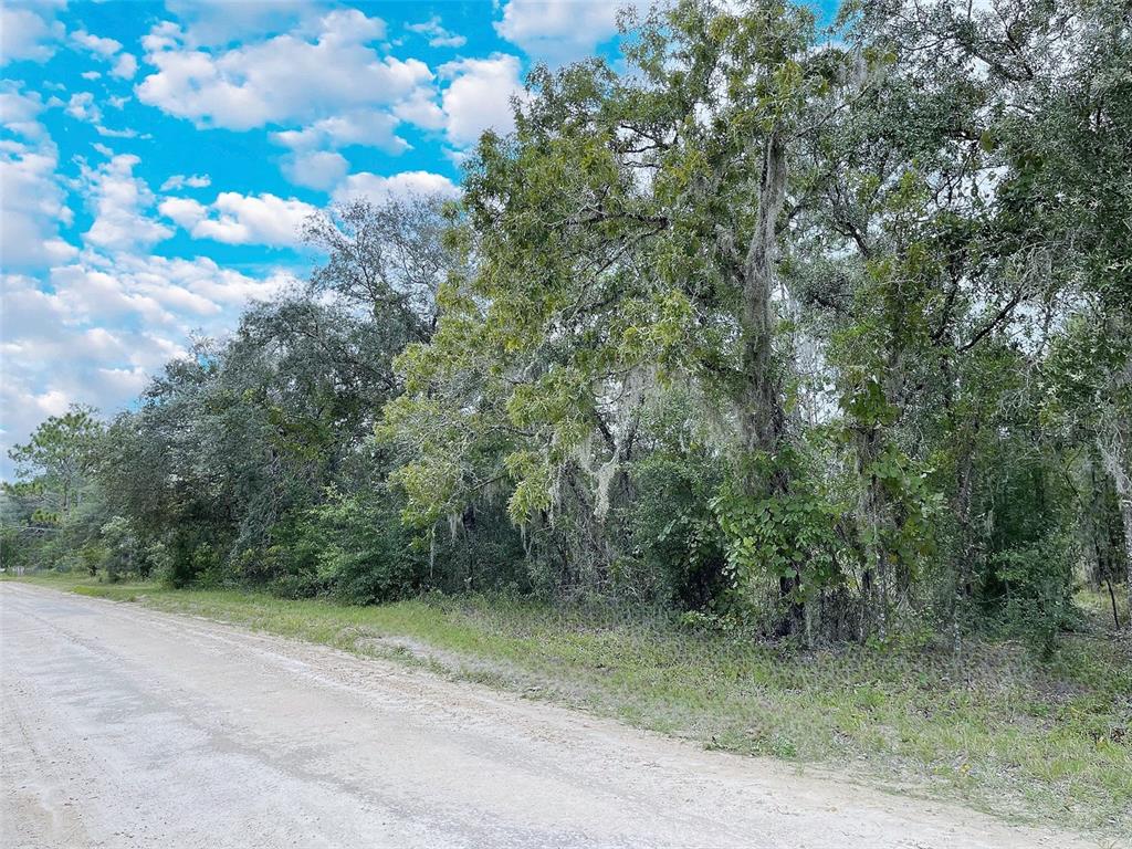 TBD NE 85TH STREET, BRONSON, FL — photo 2 of 2