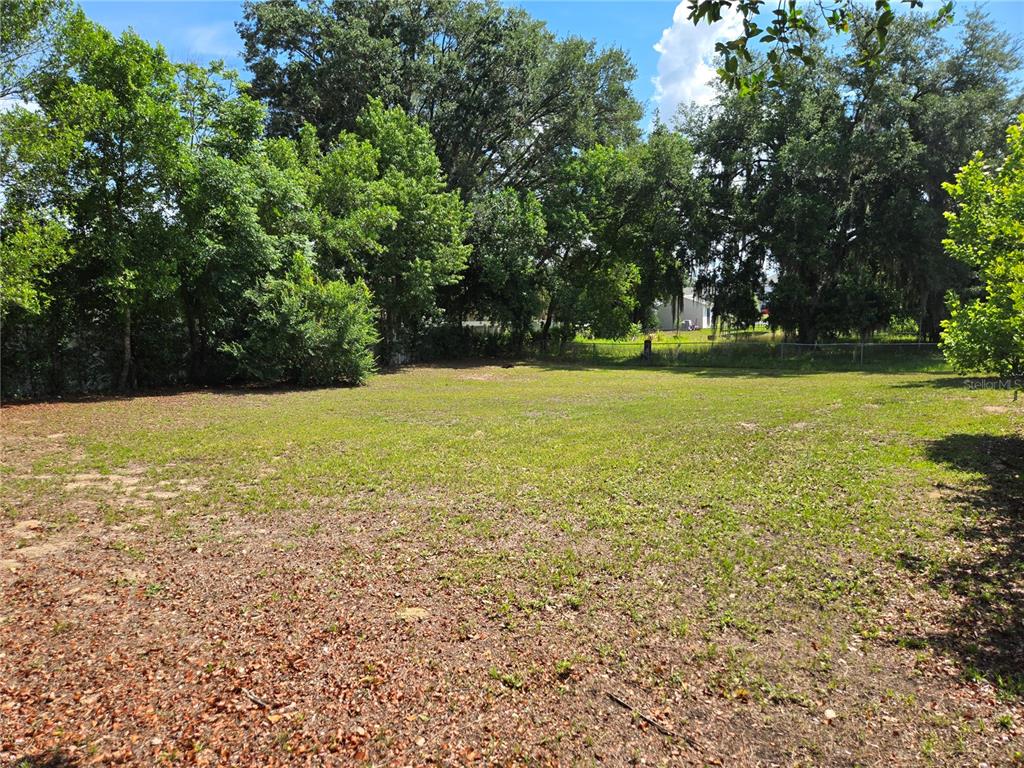 A flat, grassy vacant lot is surrounded by mature trees under a blue sky — 4 CLEAR WAY, OCALA, FL