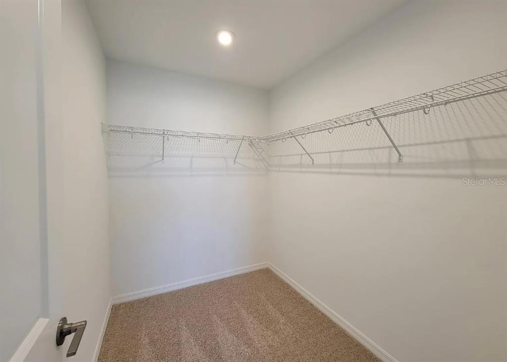 A walk-in closet with white walls, beige carpeting, and white wire shelving — 216 AQUAMARINE LANE, KISSIMMEE, FL