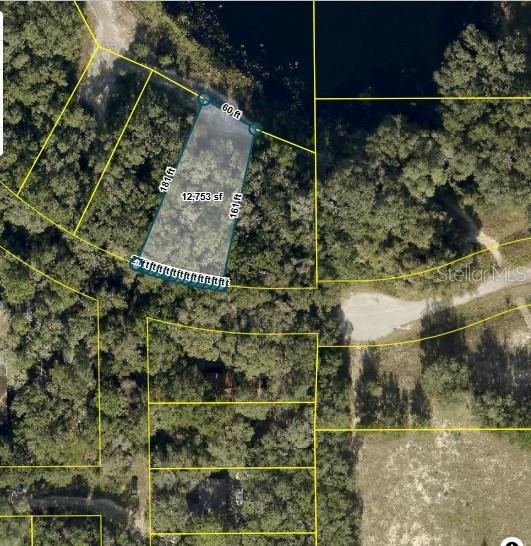 TBD REDBUD ROAD, LADY LAKE, FL — photo 3 of 4