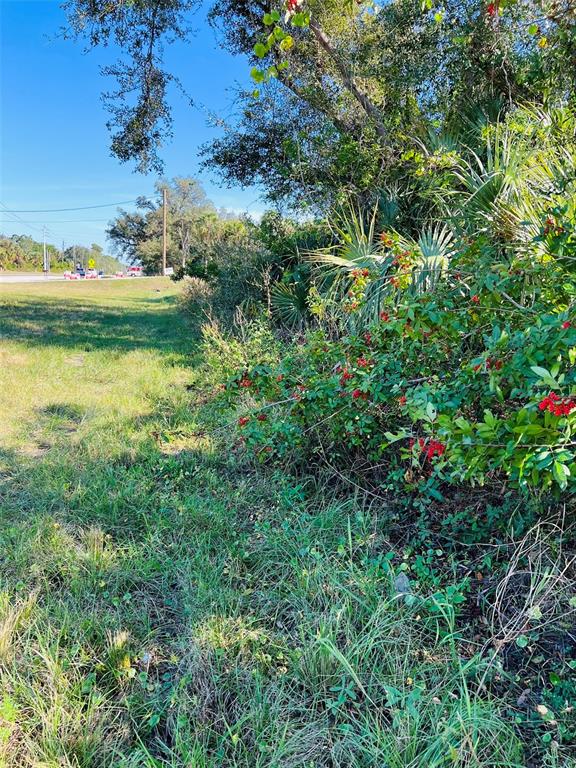 A grassy roadside area features a dense thicket of green bushes with small red berries — E PRICE BOULEVARD, NORTH PORT, FL