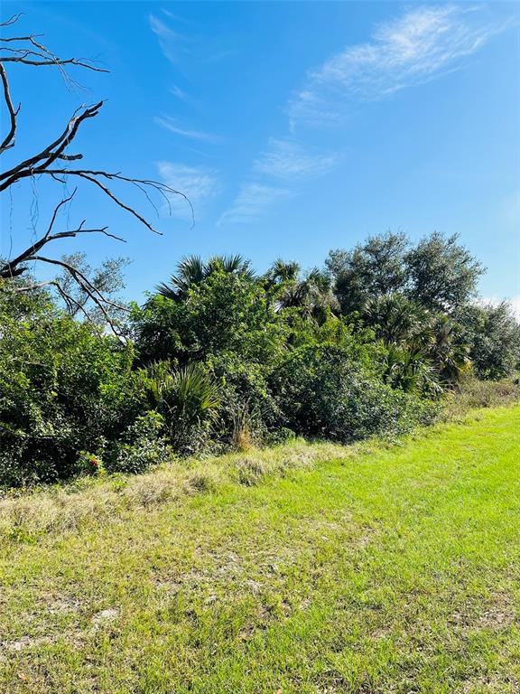 A grassy field borders a dense line of trees and shrubs under a clear blue sky — E PRICE BOULEVARD, NORTH PORT, FL